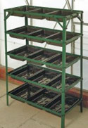 Seed Trays